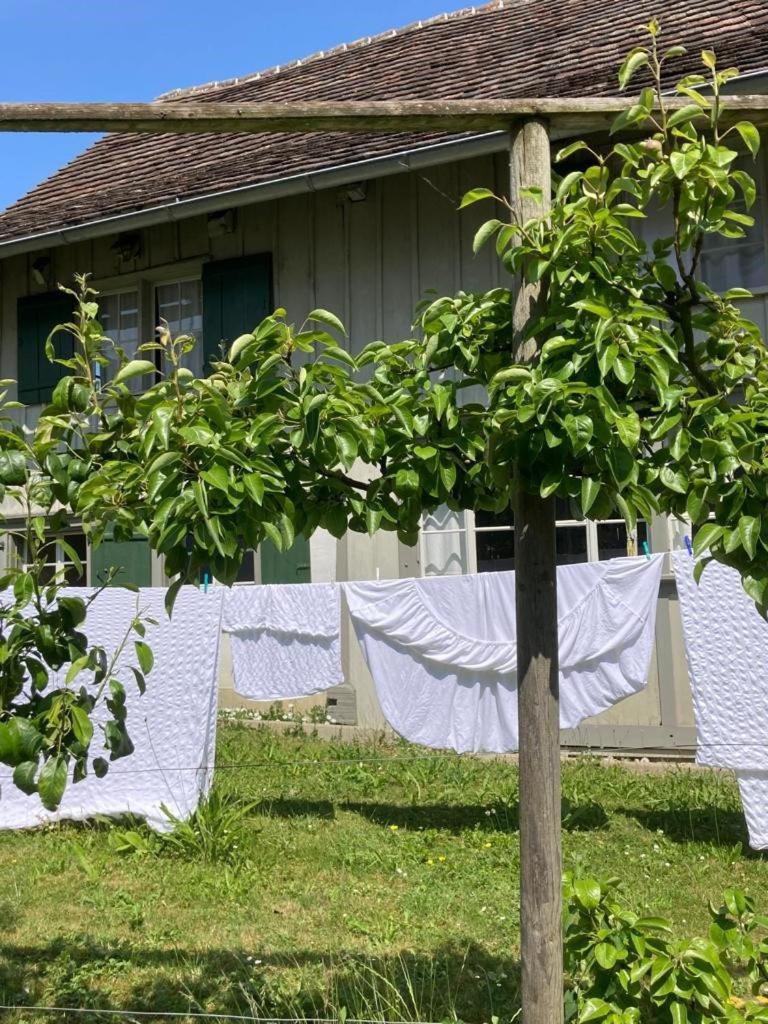 Fischerhaeuser Romanshorn Ngoại thất bức ảnh